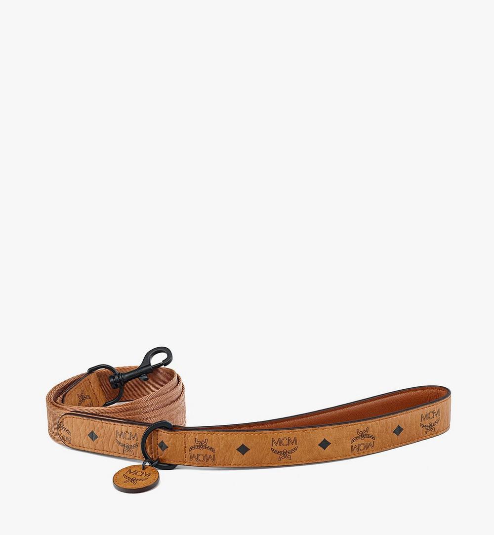 Pet Leash in Visetos 1